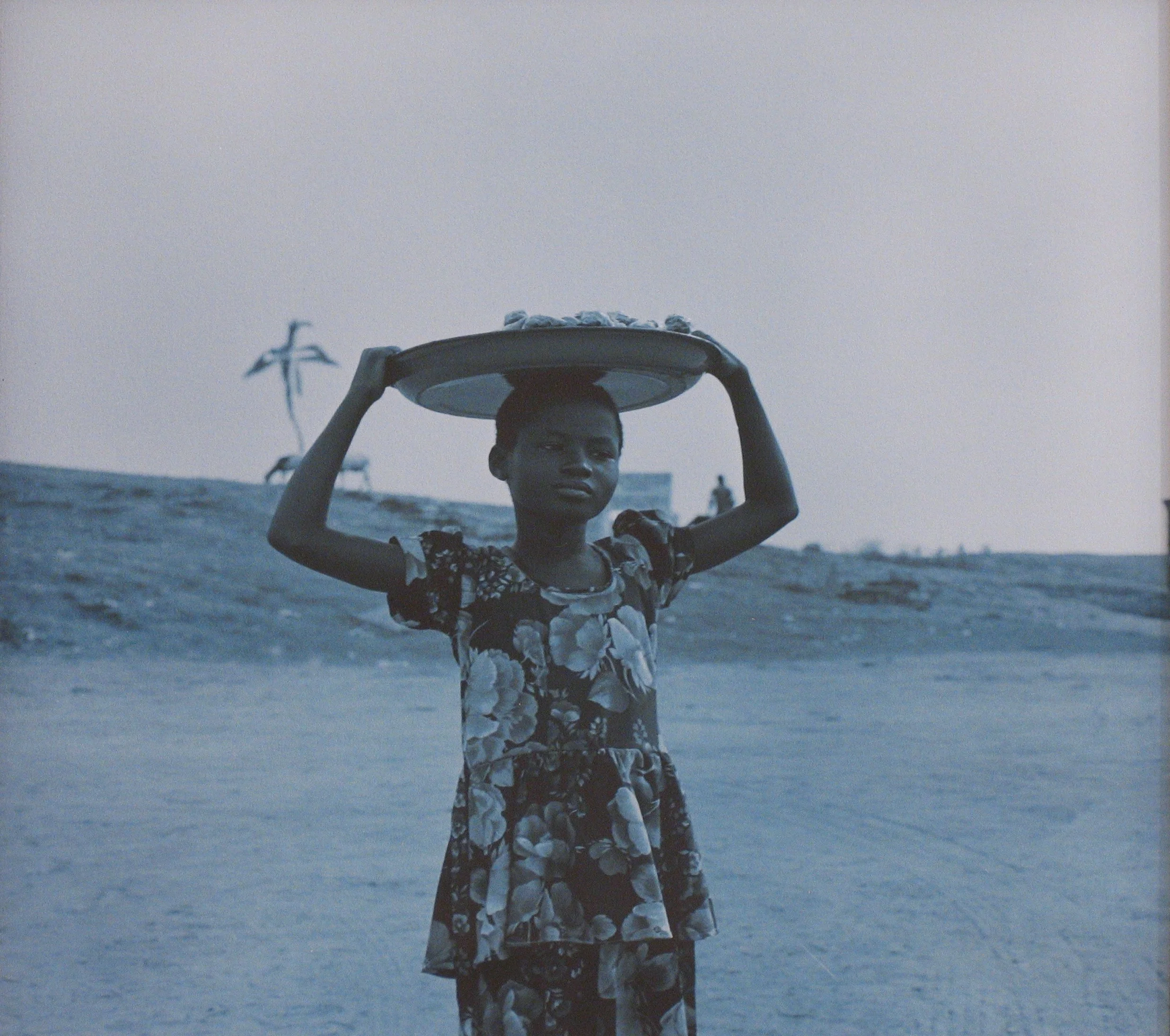 Africa Gems and Jewels — Carrie Mae Weems Africa Gems and Jewels — Carrie Mae Weems